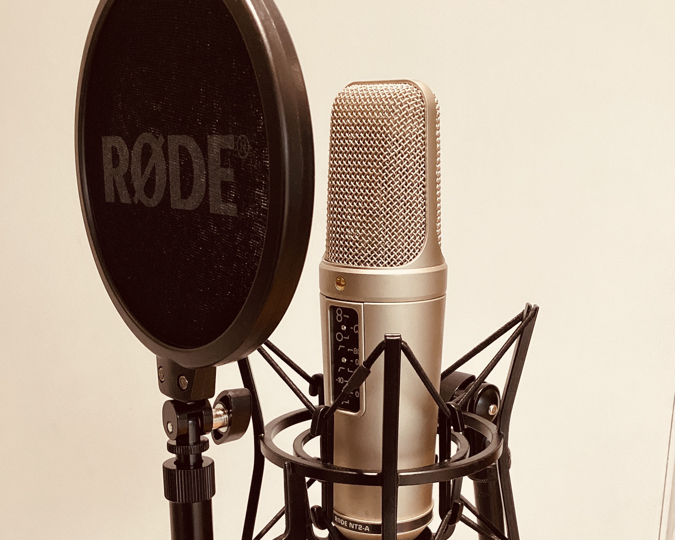 Studio quality vocal mic