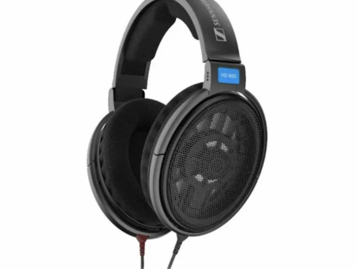 Sennheiser hd 600 ( bra för mixning, billigaste alternativet till en rättvis ljudbild)