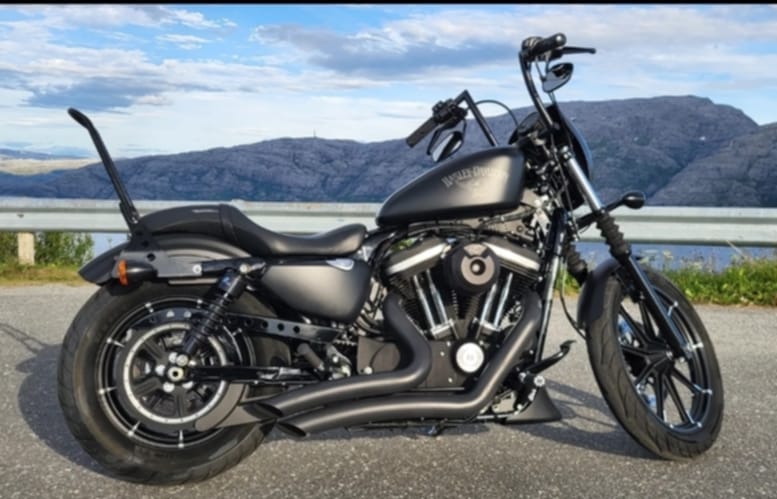 Harley-davidson iron