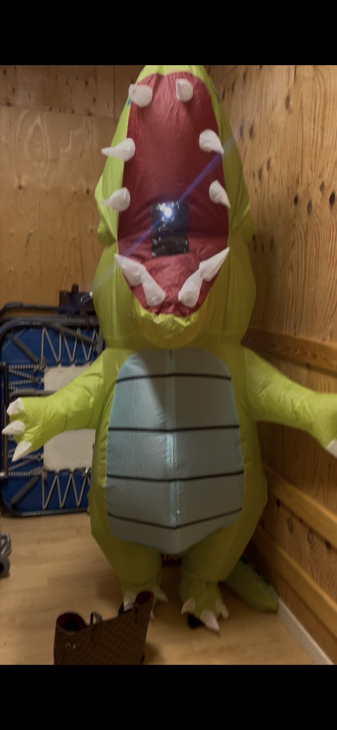 Uppblåsbar zebra och dinosaurie 