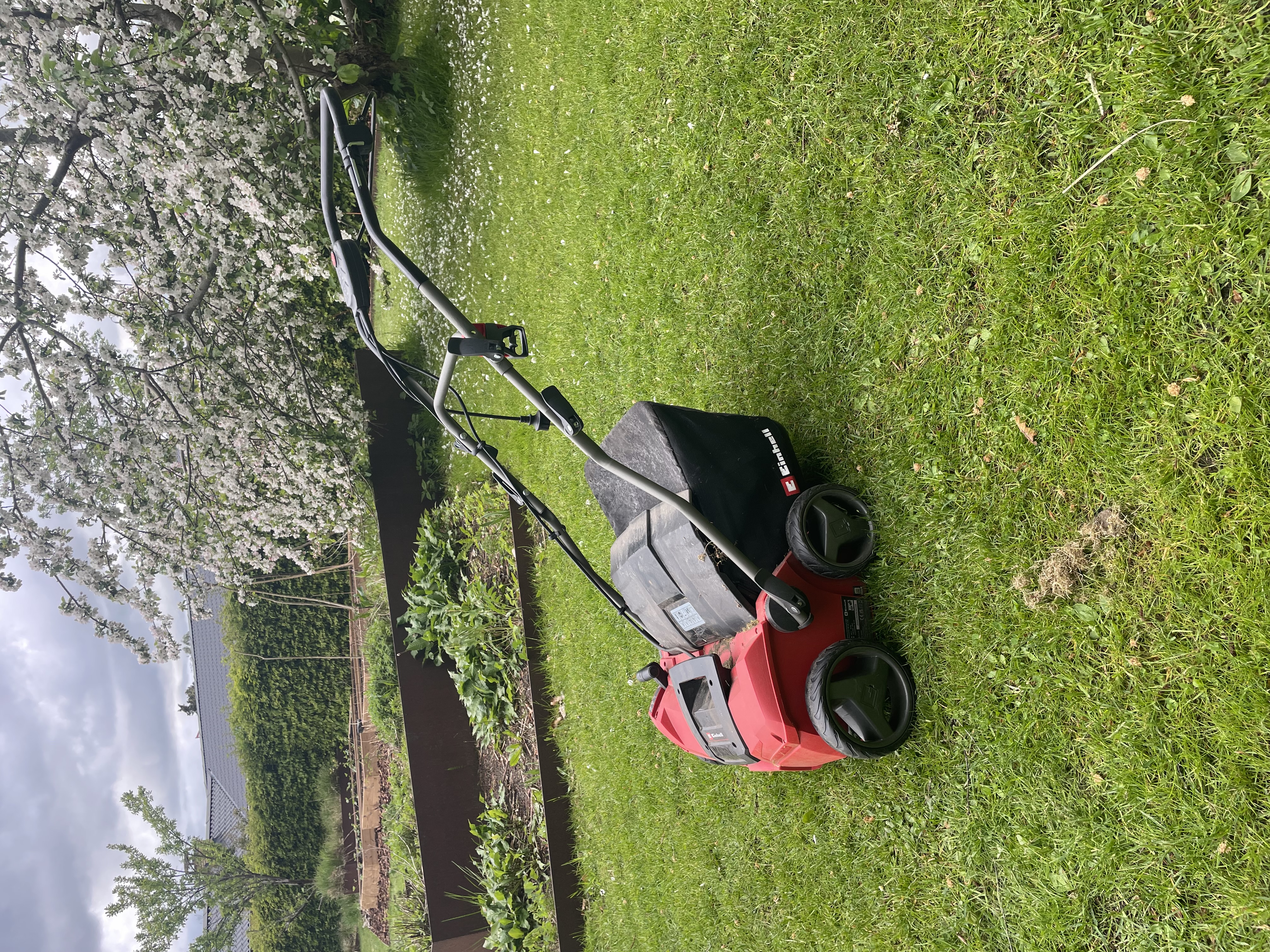 Einhell vertikalskærer elektrisk