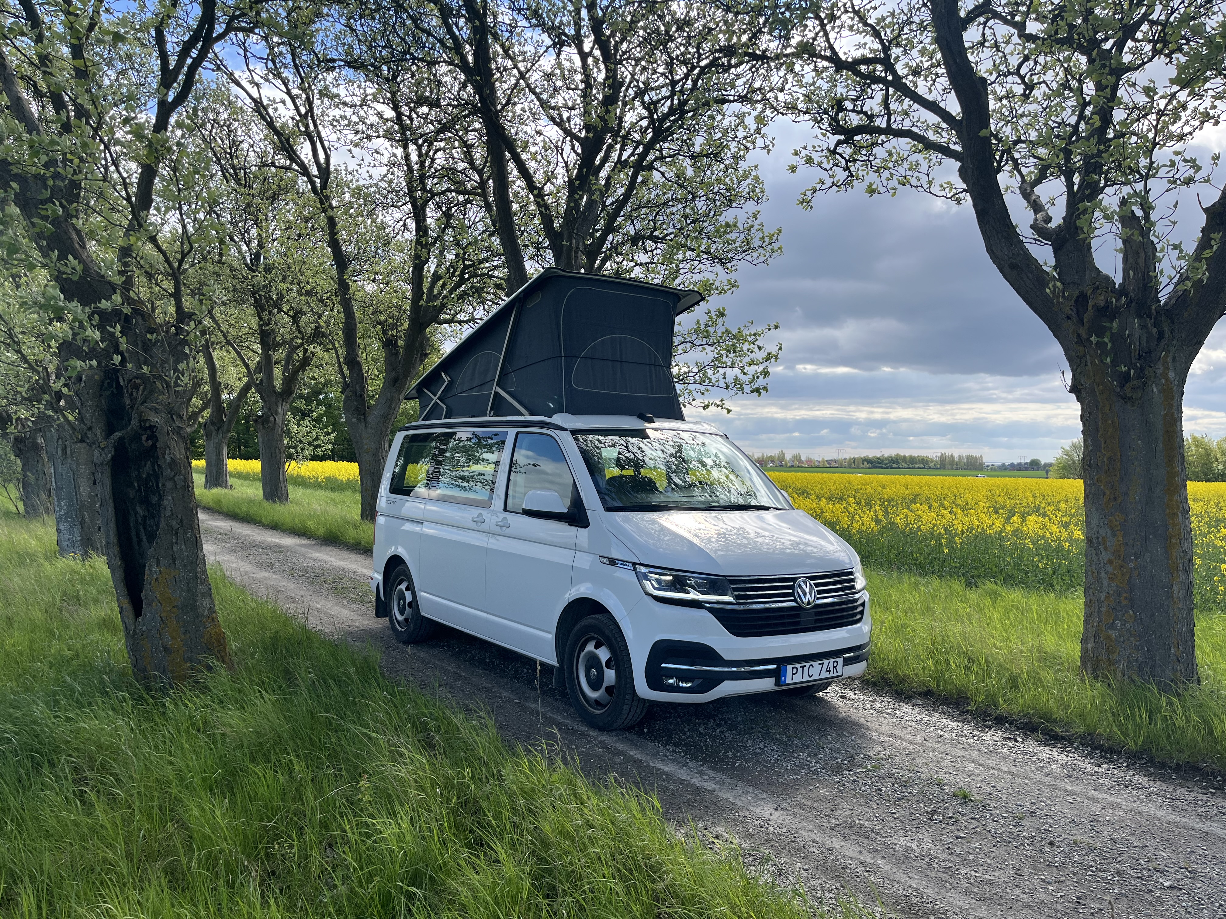 Volkswagen california ocean 