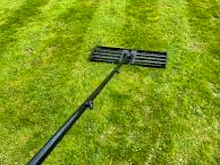 Dressrive fra poa hage