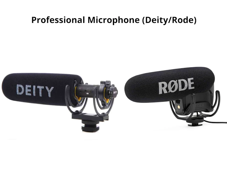 Professional microphone (deity pro / rode)
