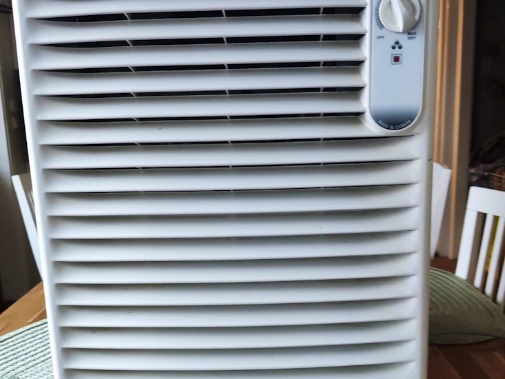 Woods ds-12 avfuktare