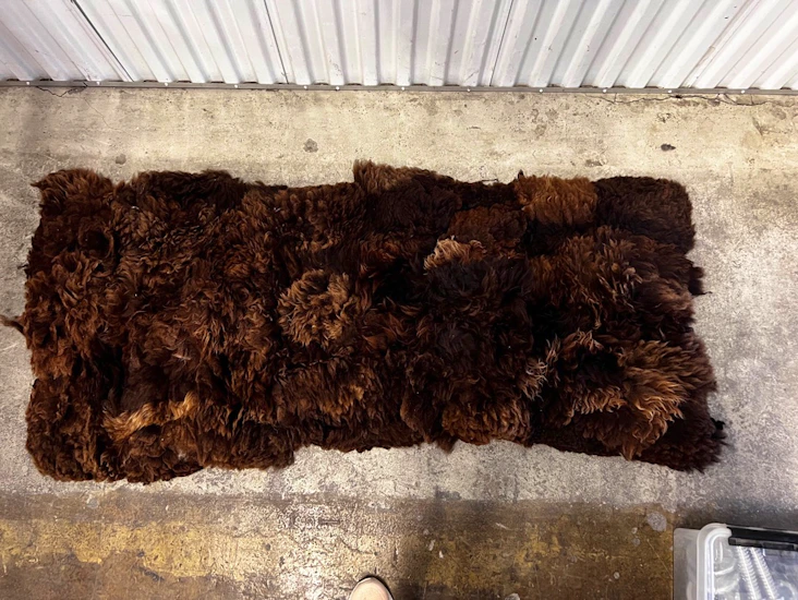 Liggeunderlag i saueskinn