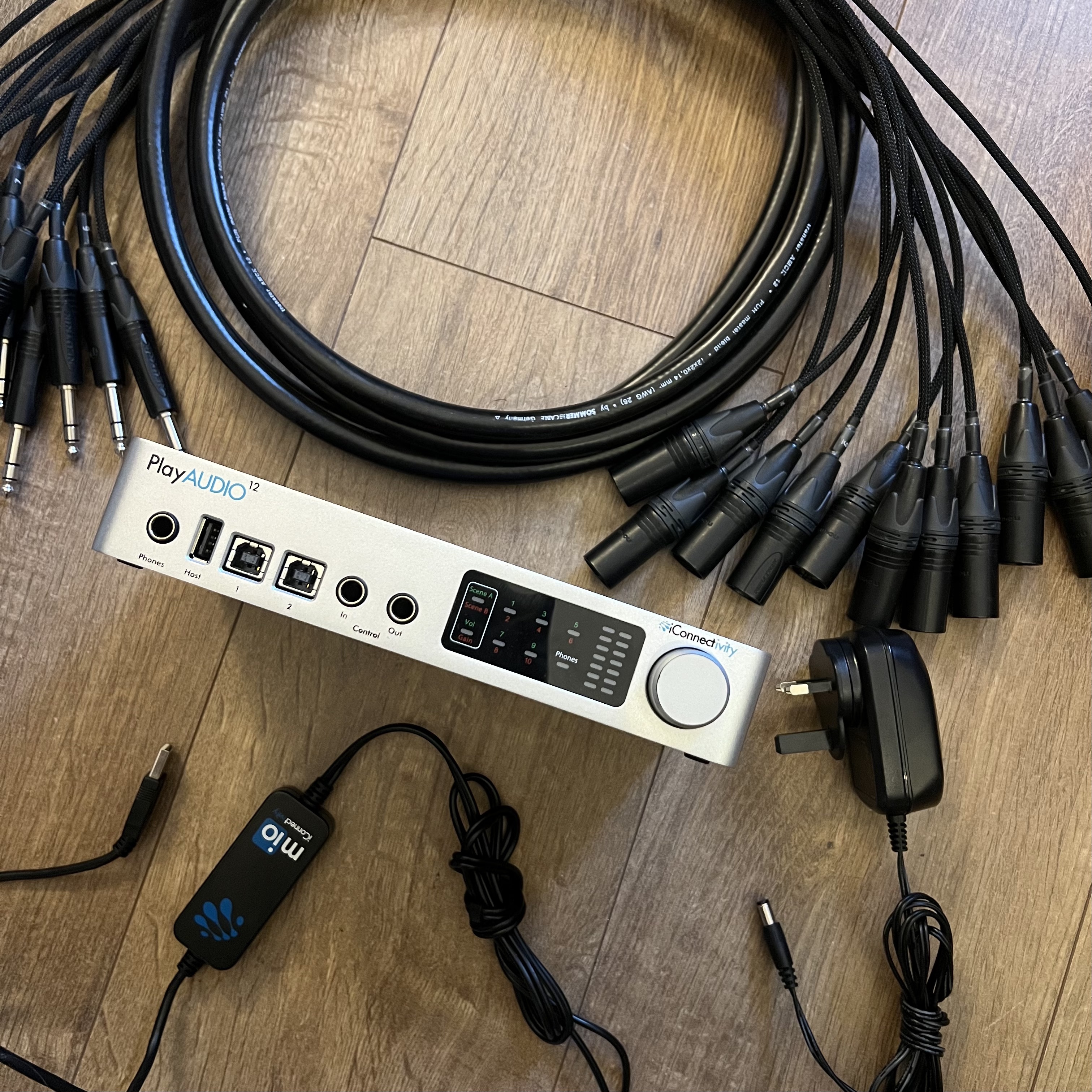 Playback rig - iconnectivity playaudio 12 + jack - xlr loom