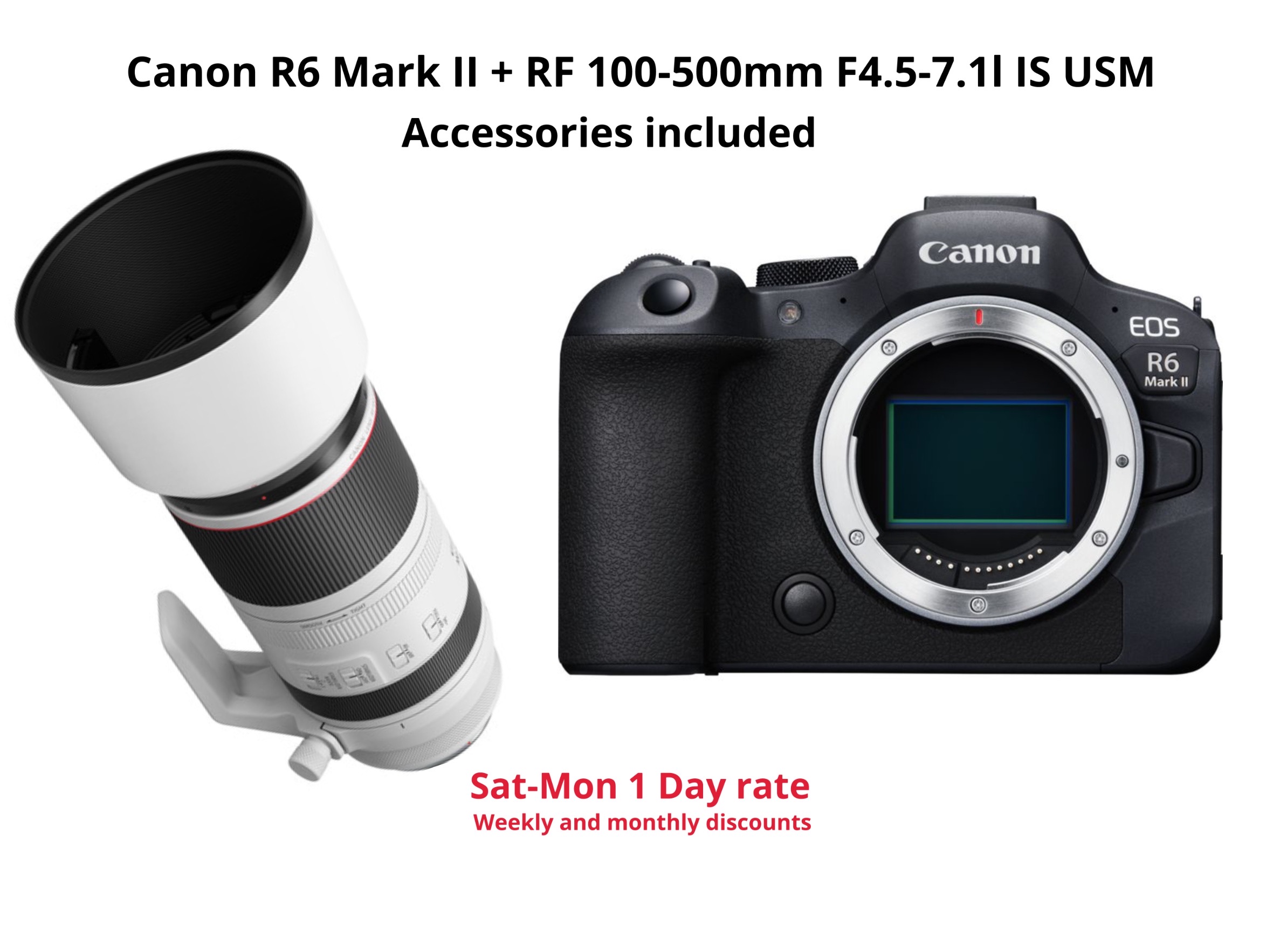 Canon r6 mark ii + rf 100-500mm f4.5-7.1