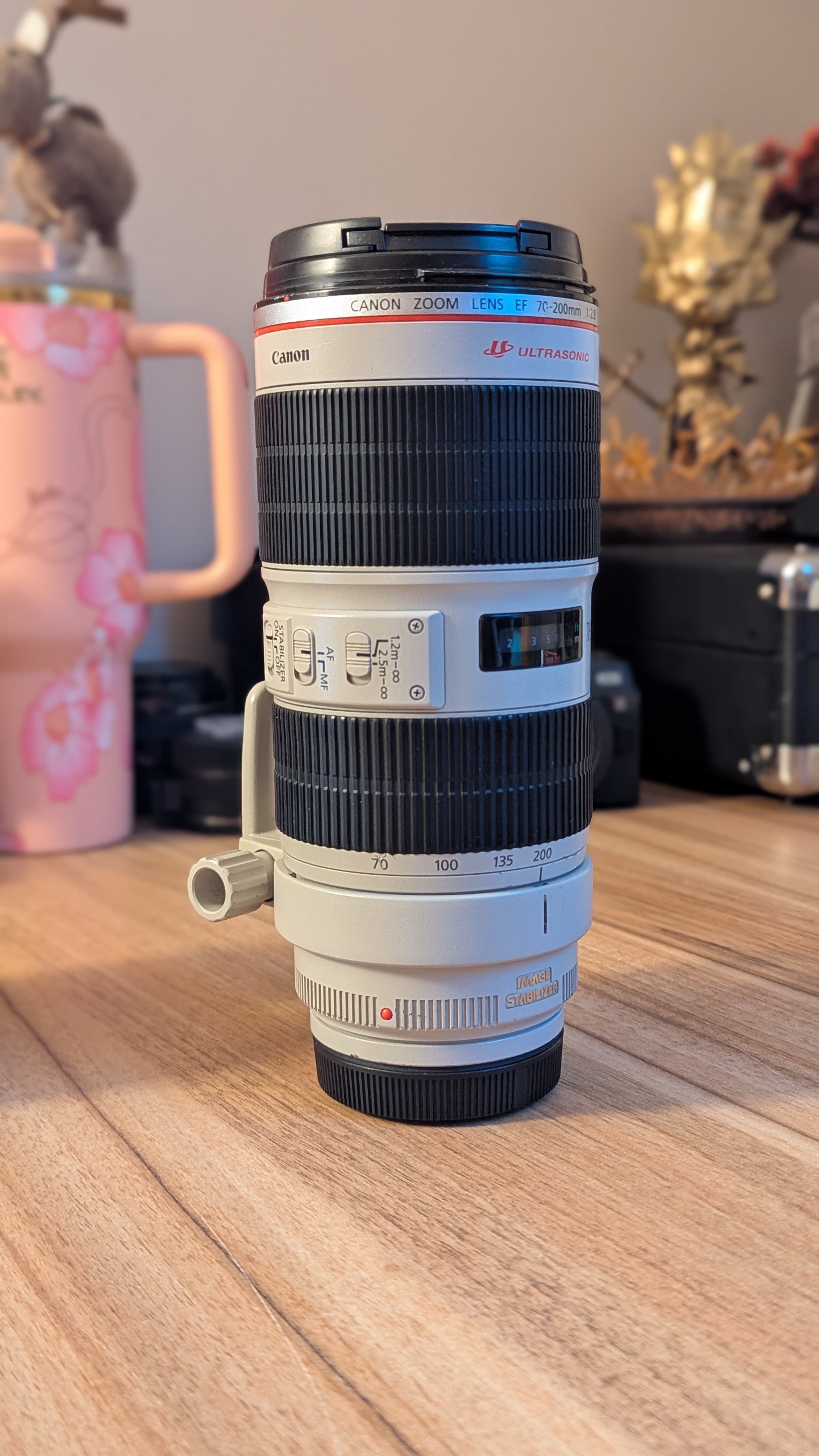 Canon ef 70-200mm f2.8 is ii usm