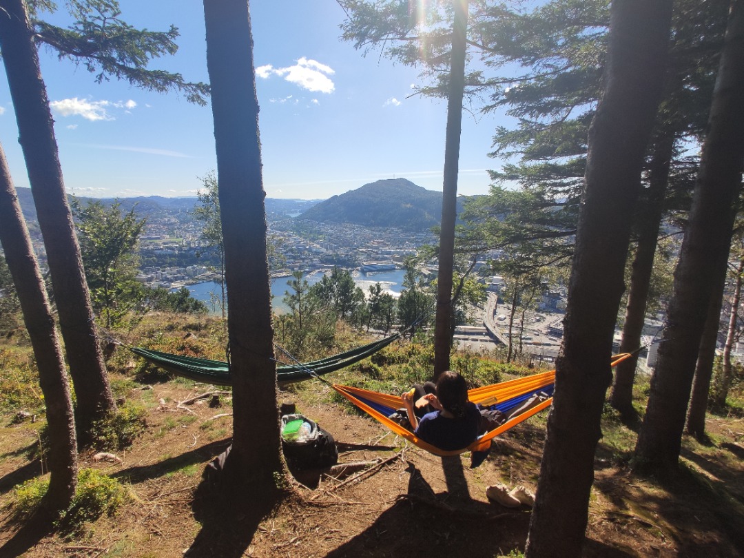 Hammock single or double
