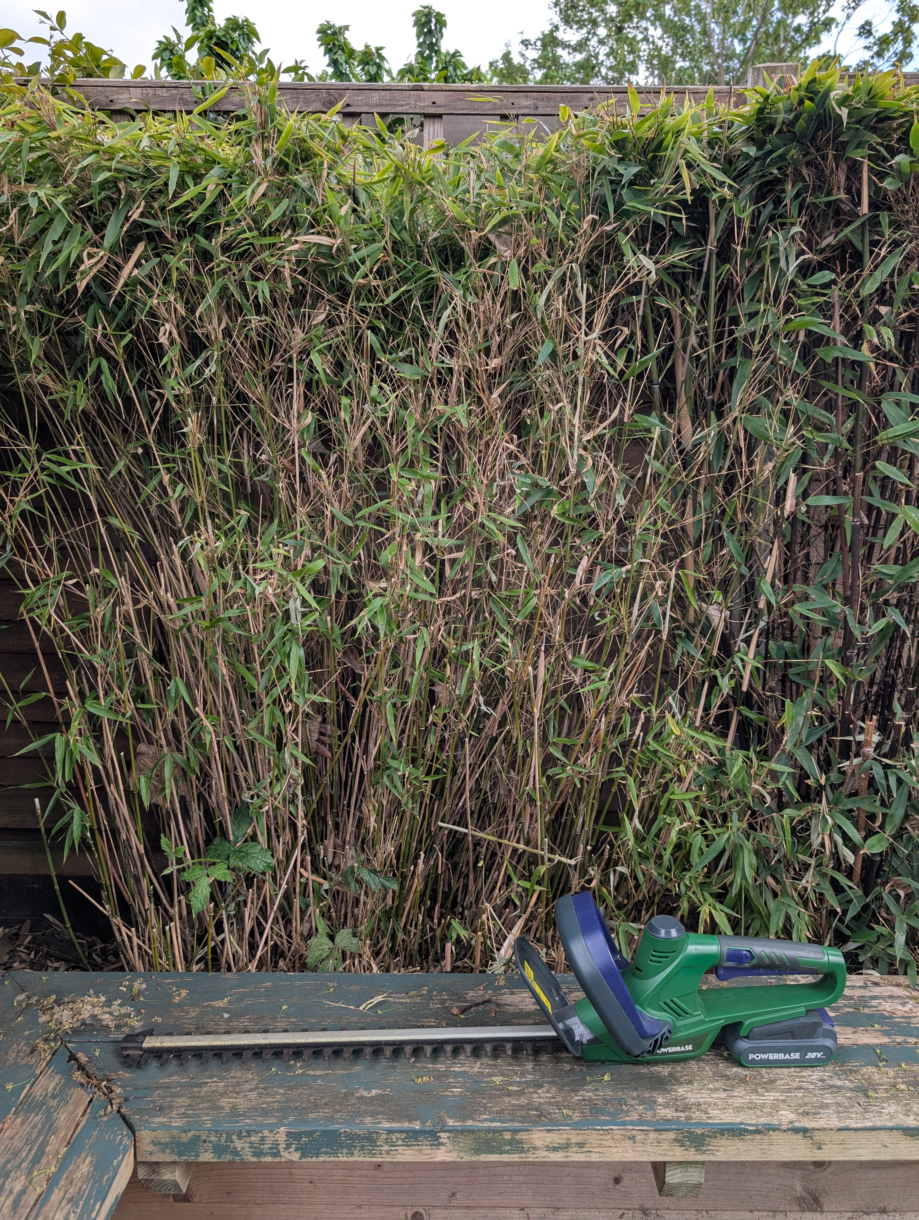 Powerbase 660845 20v pivot head hedge trimmer