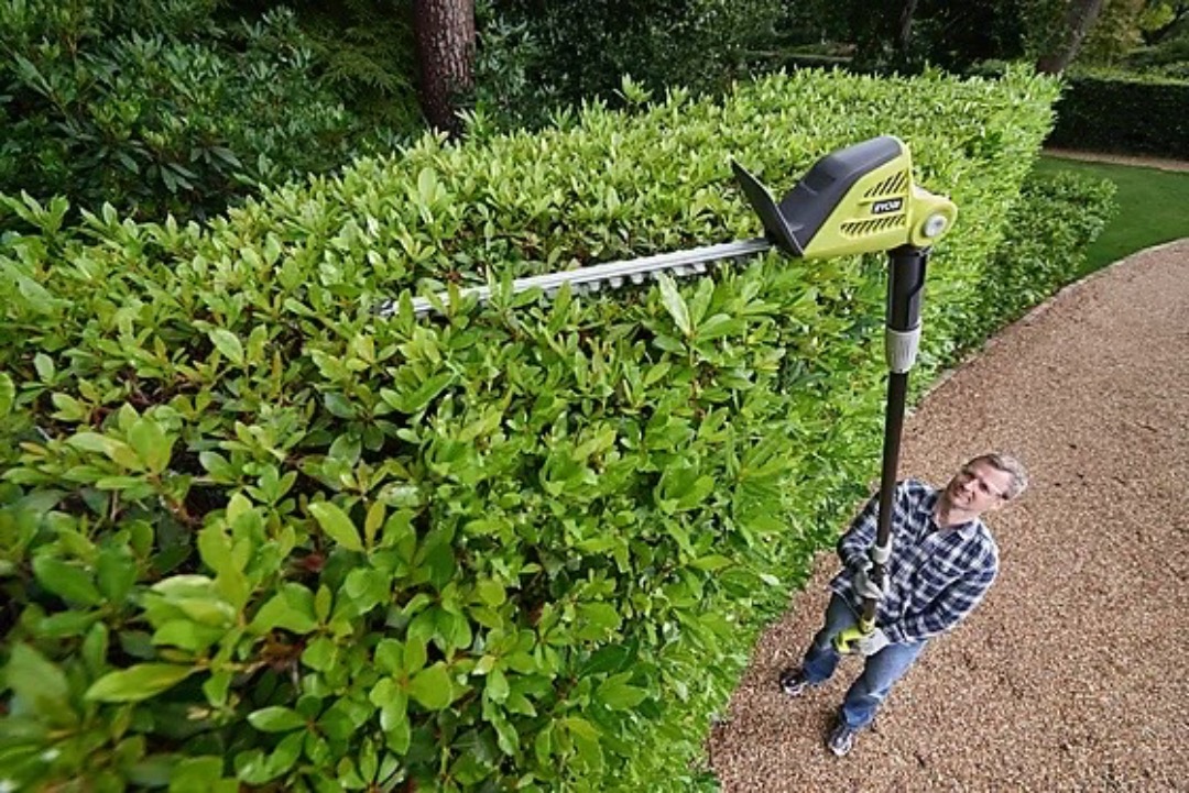 Langtrekkende hekksaks, 2,4 meter