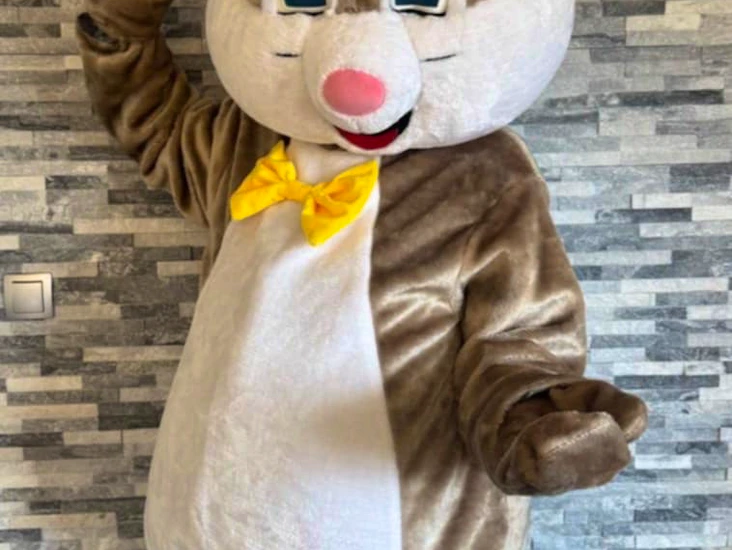 Kanin, apa, snögubbe, sköldpadda, ekorre