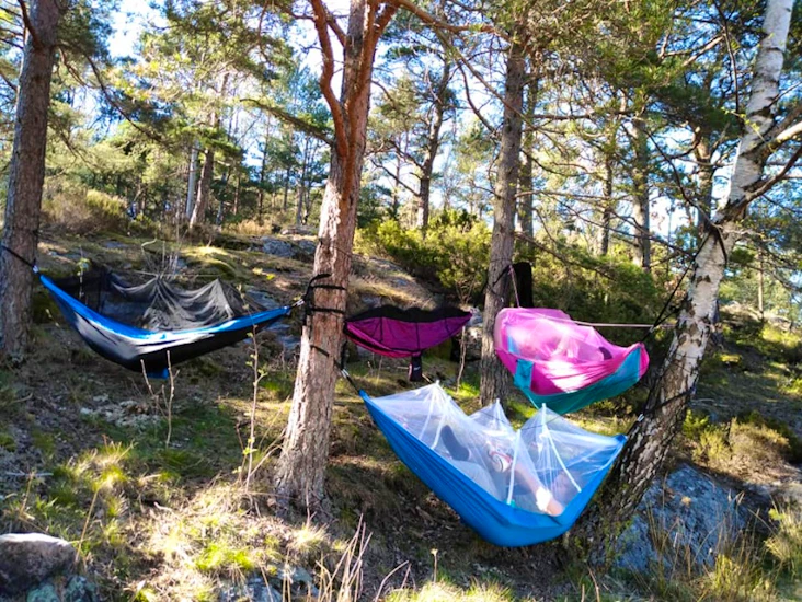 1 hengekøye med myggnett