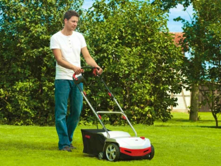 Vertikalskärare/mossrivare