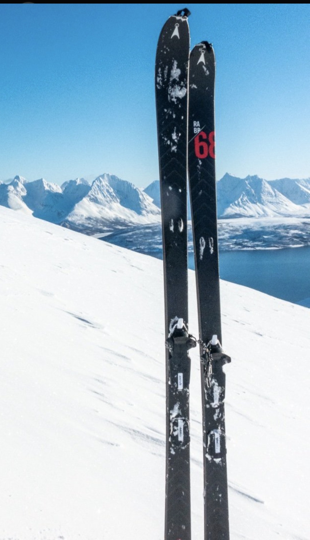 Åsnes rabb 68 med helfelle