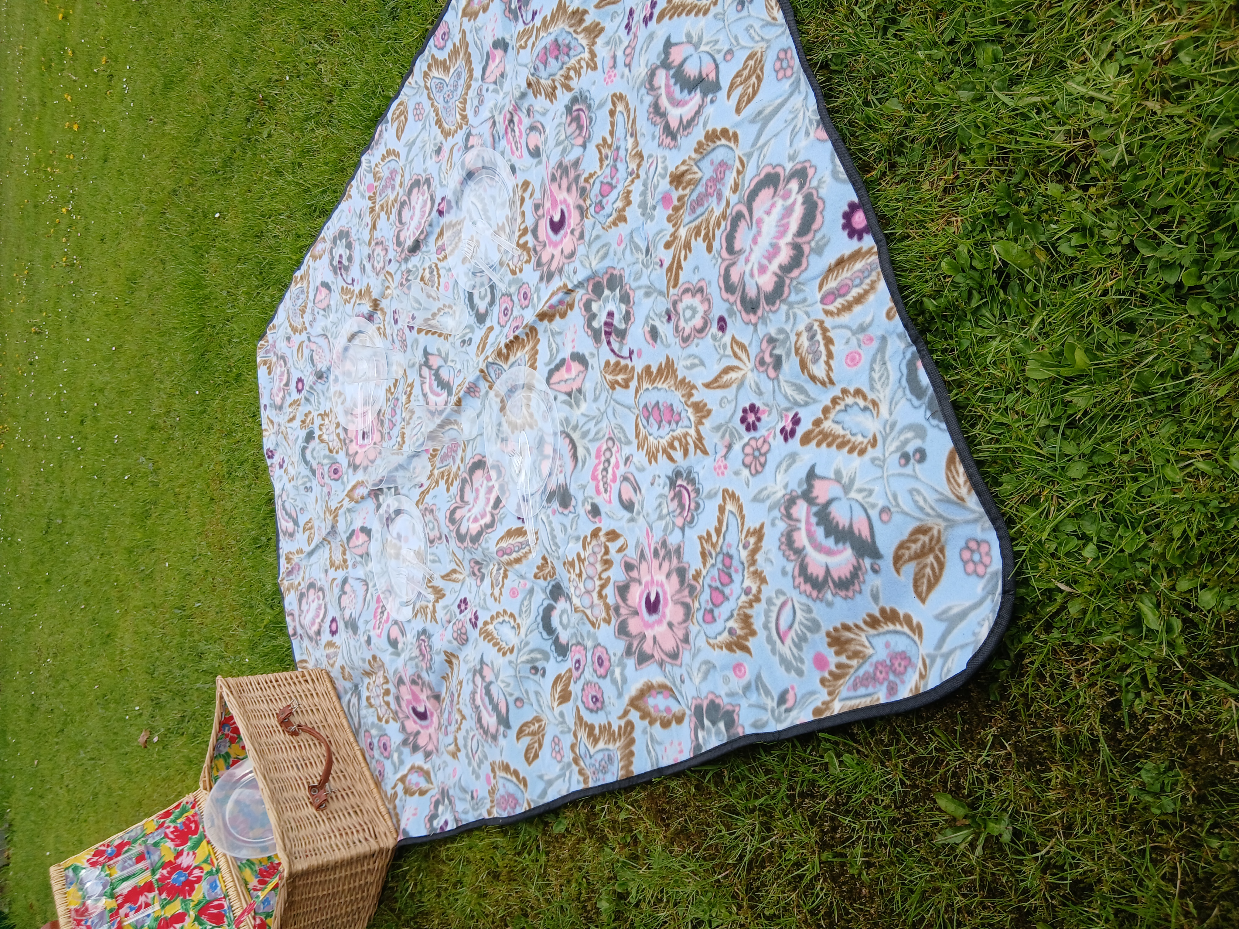 Picnic kurv med indhold