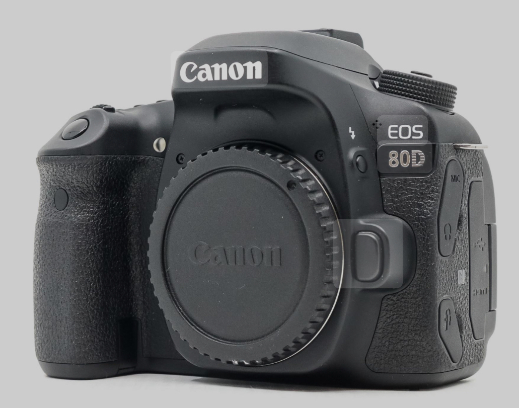 Canon 80d with lens 