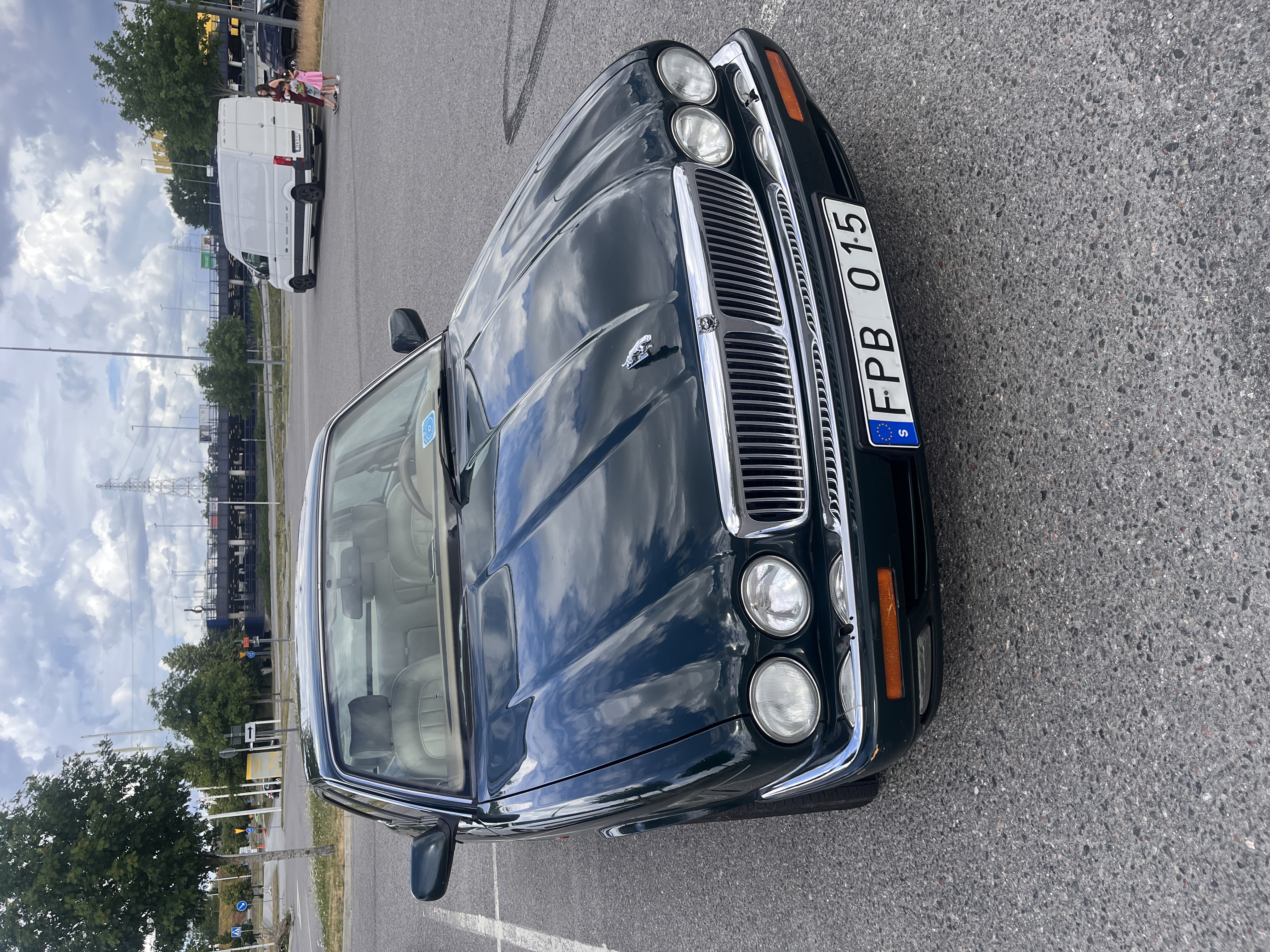 Veteran jaguar