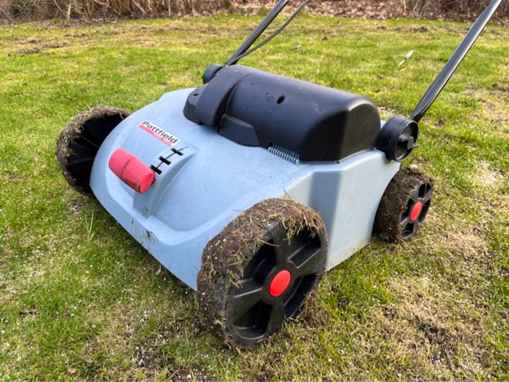 Vertikalskärare mossrivare