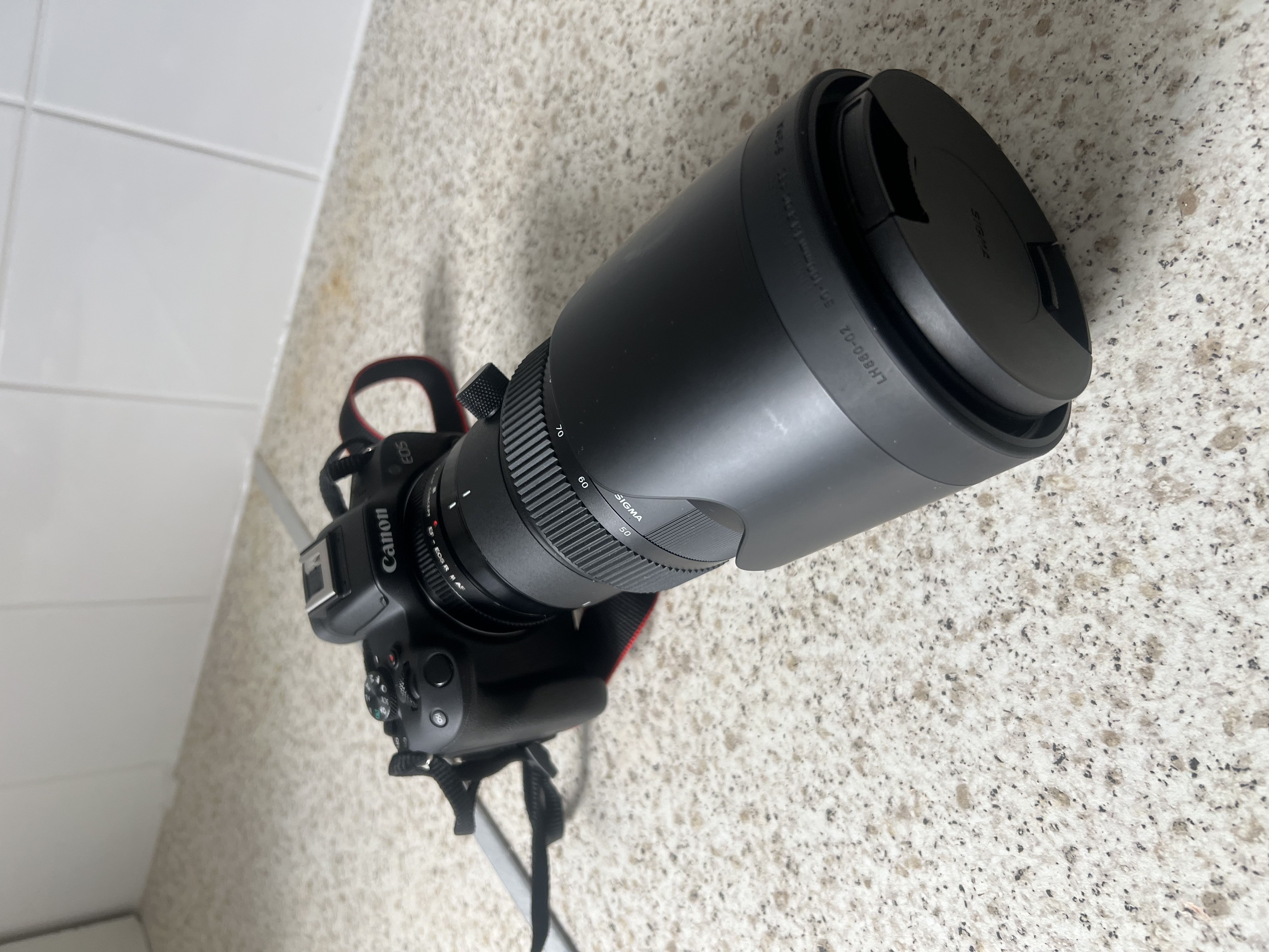 Canon r50 mirrorless camera + sigma 50-100mm f1.8 (canon ef)