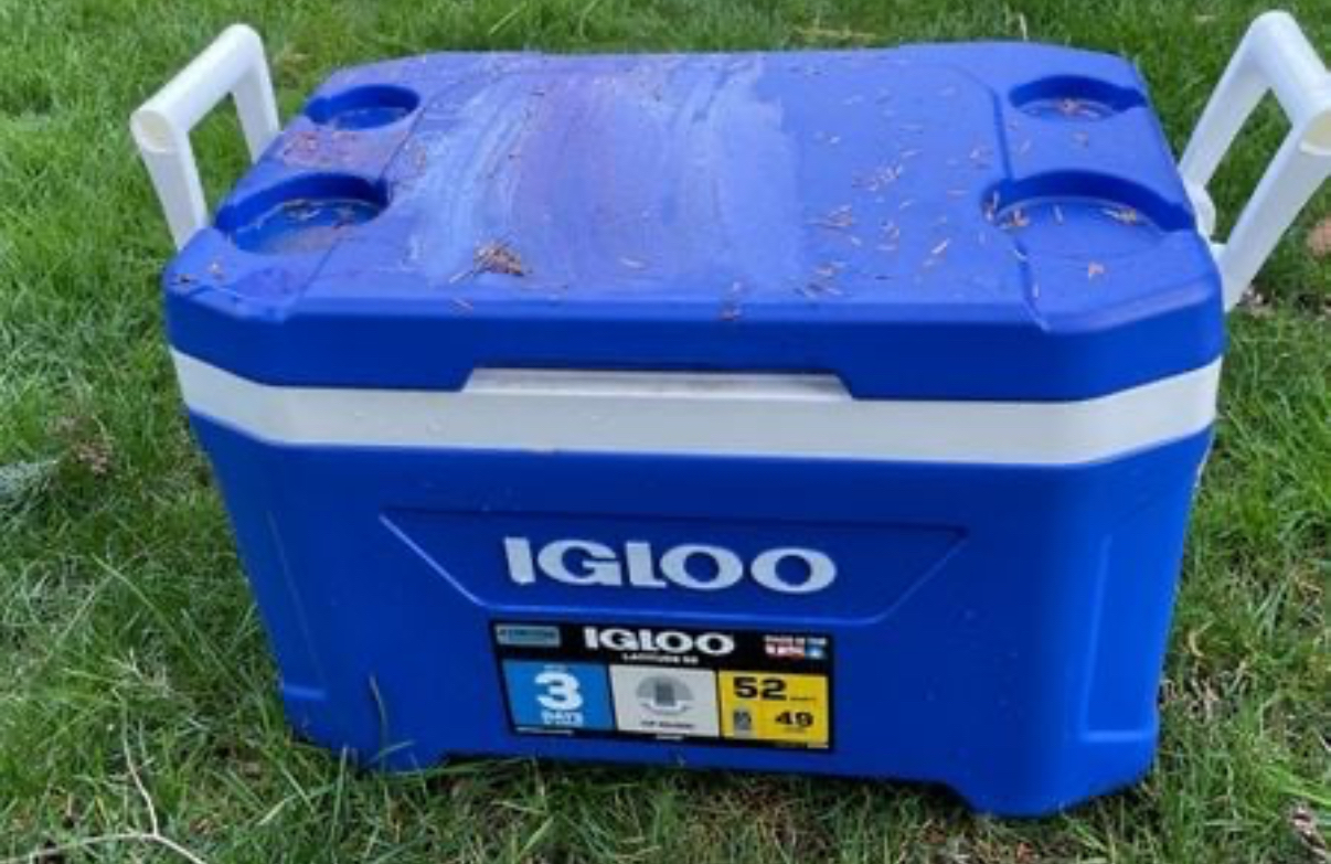 Igloo cooler 52qt blue