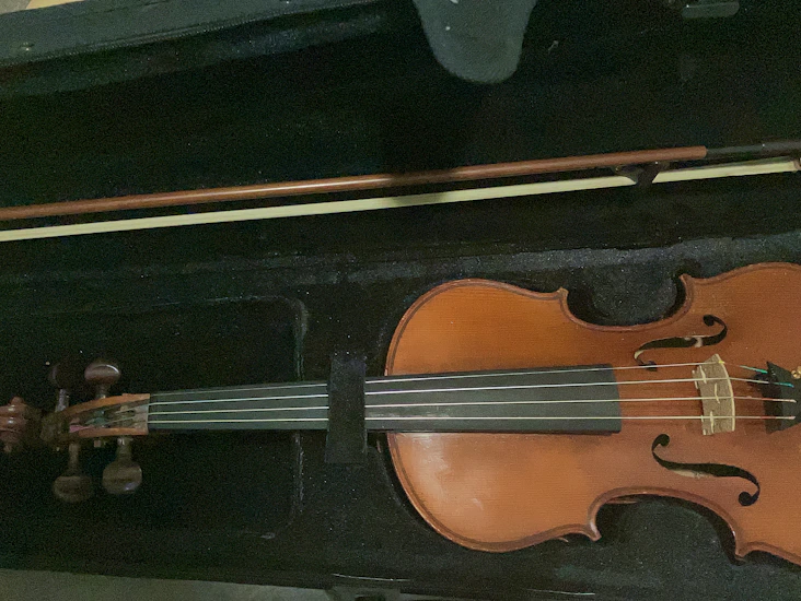 Violin or viola