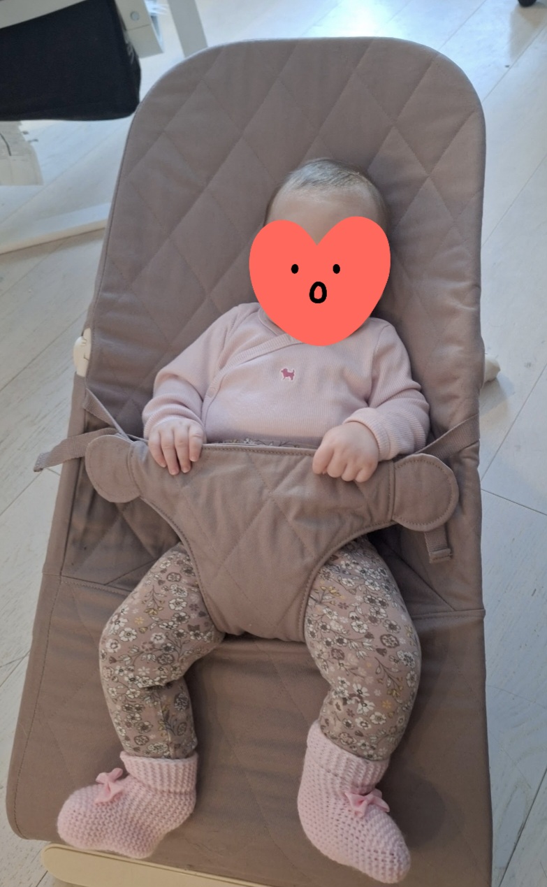 Stable baby bouncer 