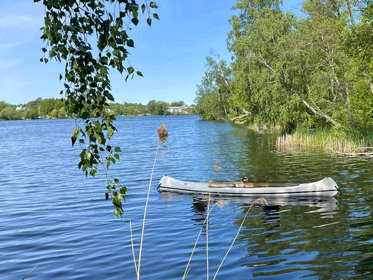2st kanadensare vid långsjön i älvsjö 🌿