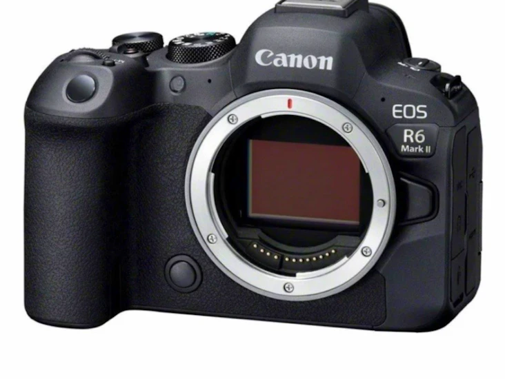 Canon r6 mark 2 + ef adapter