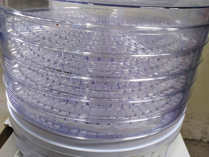 Svamp- och frukttork