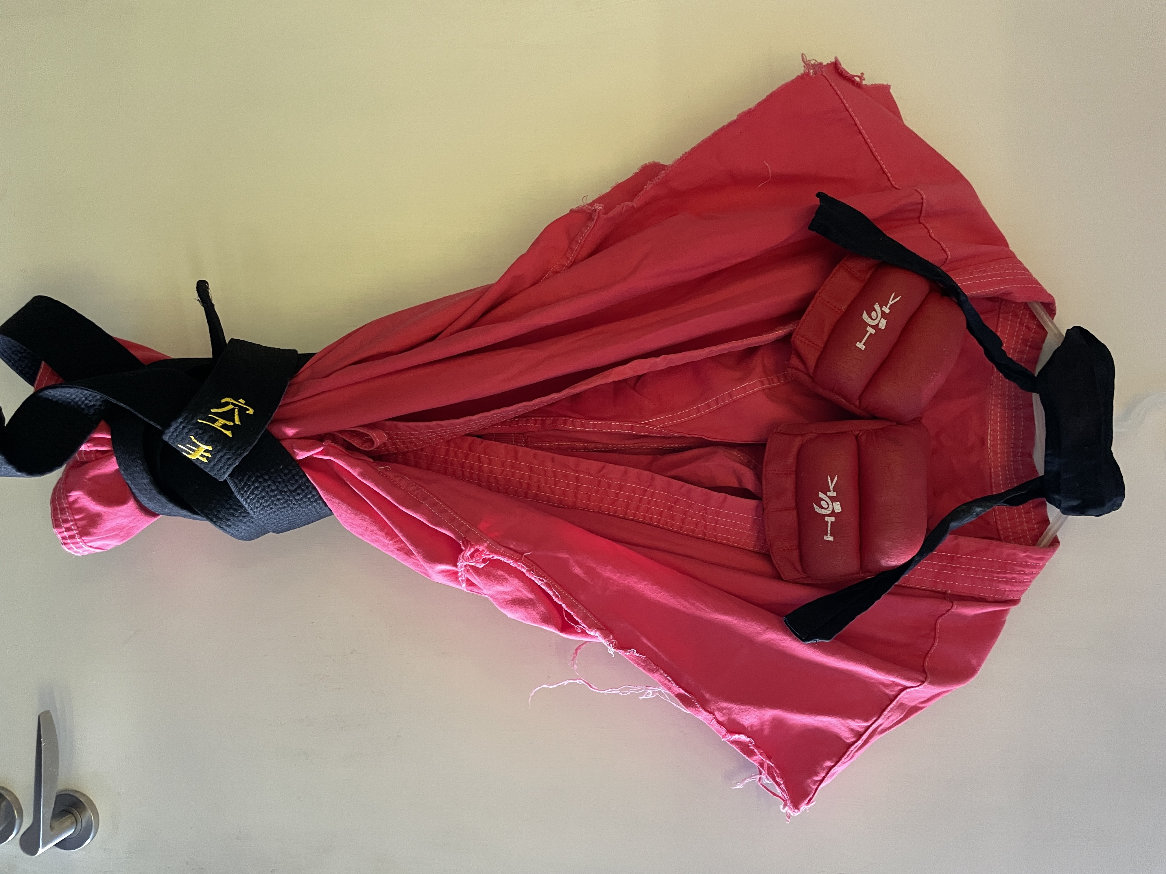 Bespoke one-of-a-kind ken masters / dan hibiki street fighter costume (