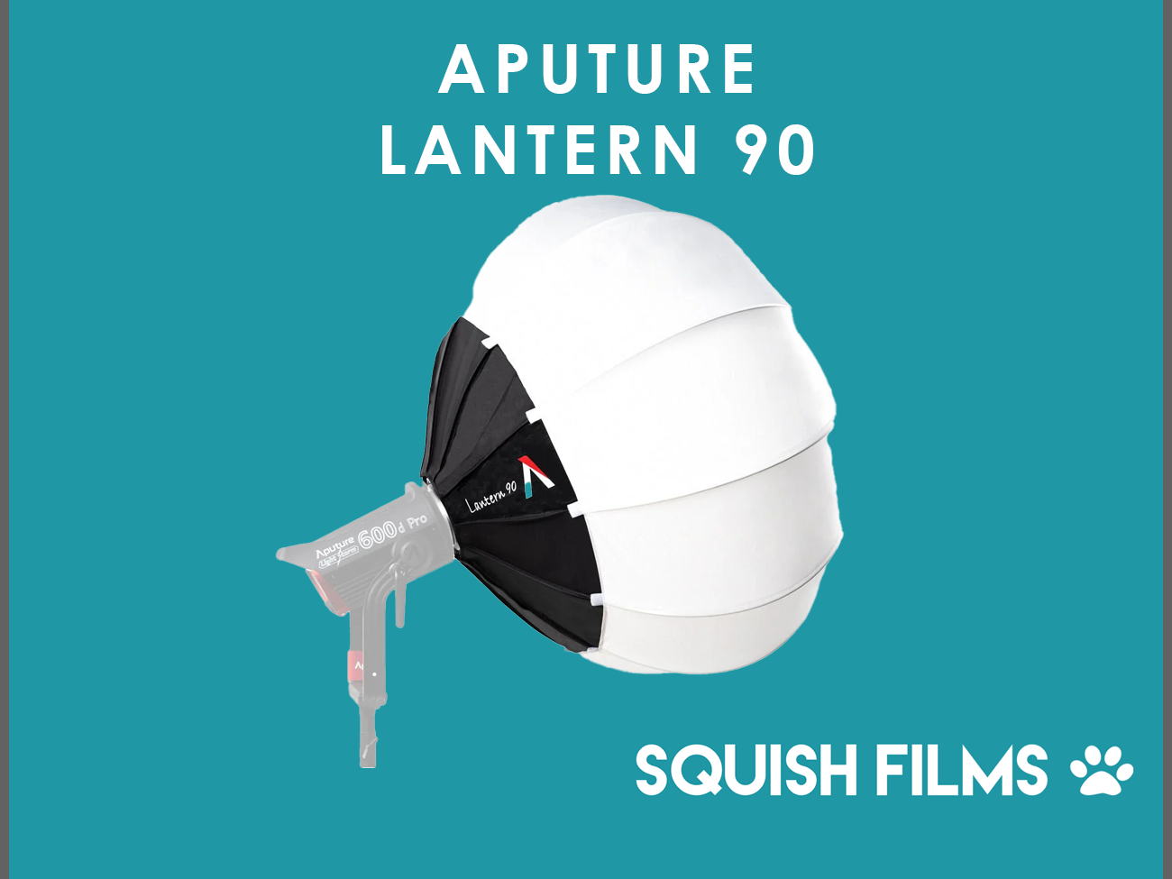 Aputure lantern 90