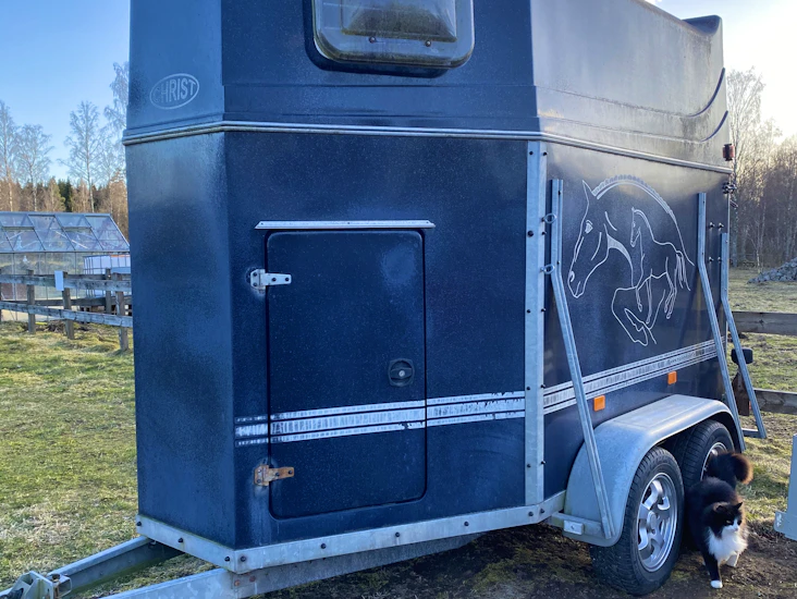 Christ comet med sadelkammare