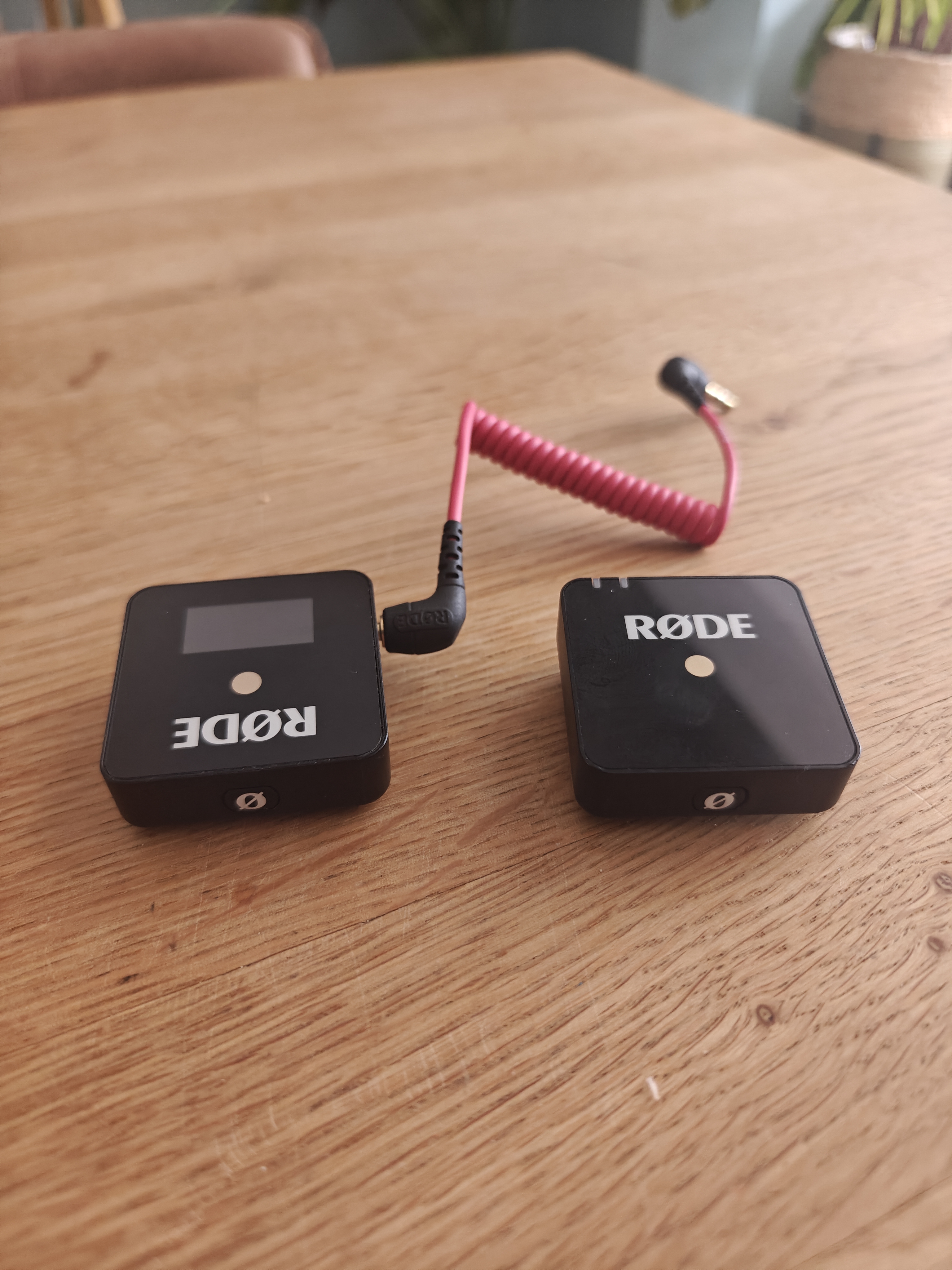 Rode wireless go lapel mic for rent - such good sound!