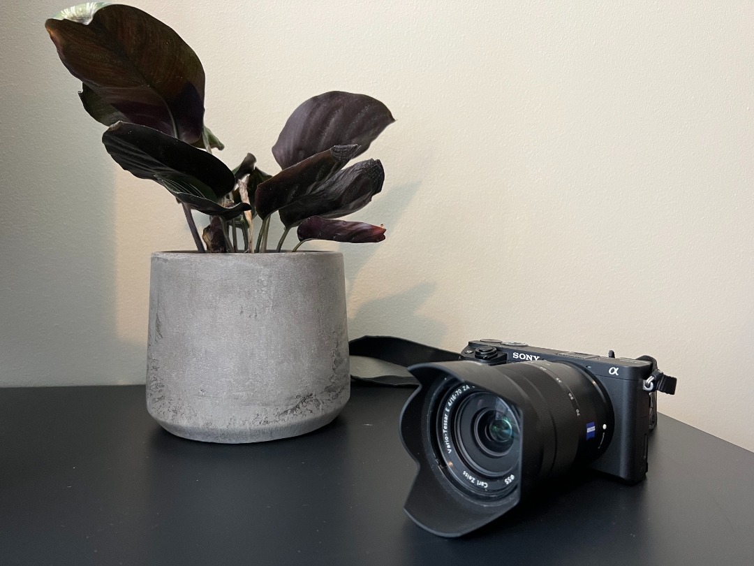 Sony a6300 + diverse objektiv