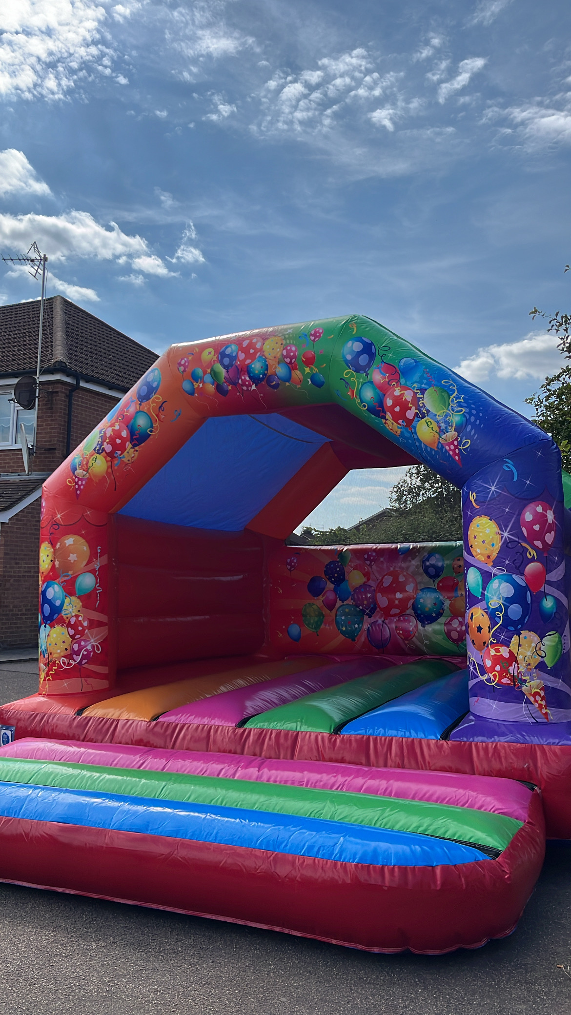 Bouncy castle + ball pit
