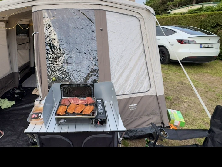 Dometic familie telt