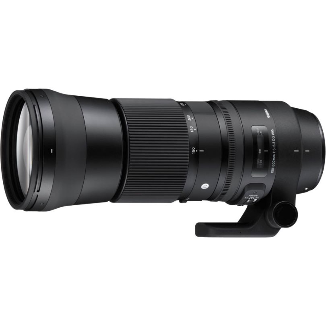 Sigma 150-600 contemporary