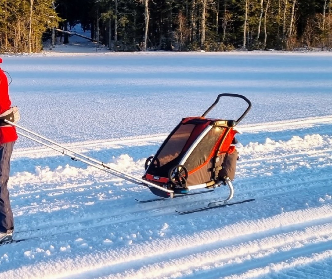 Thule chariot cross med skidkit 