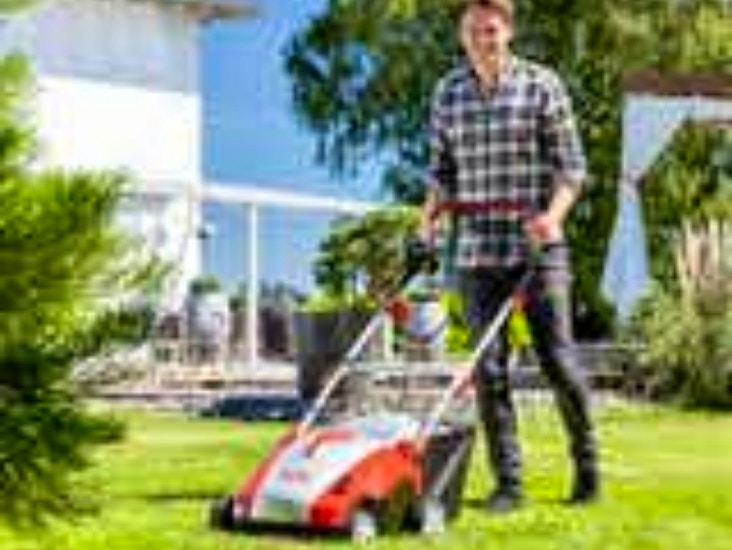 Mosefjerner/plenlufter/vertikalskjærer