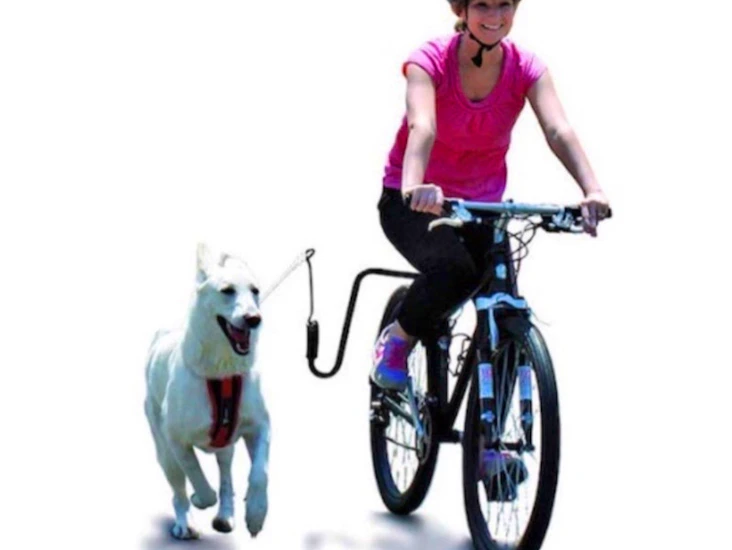 Springer (sykkelfeste til hund)