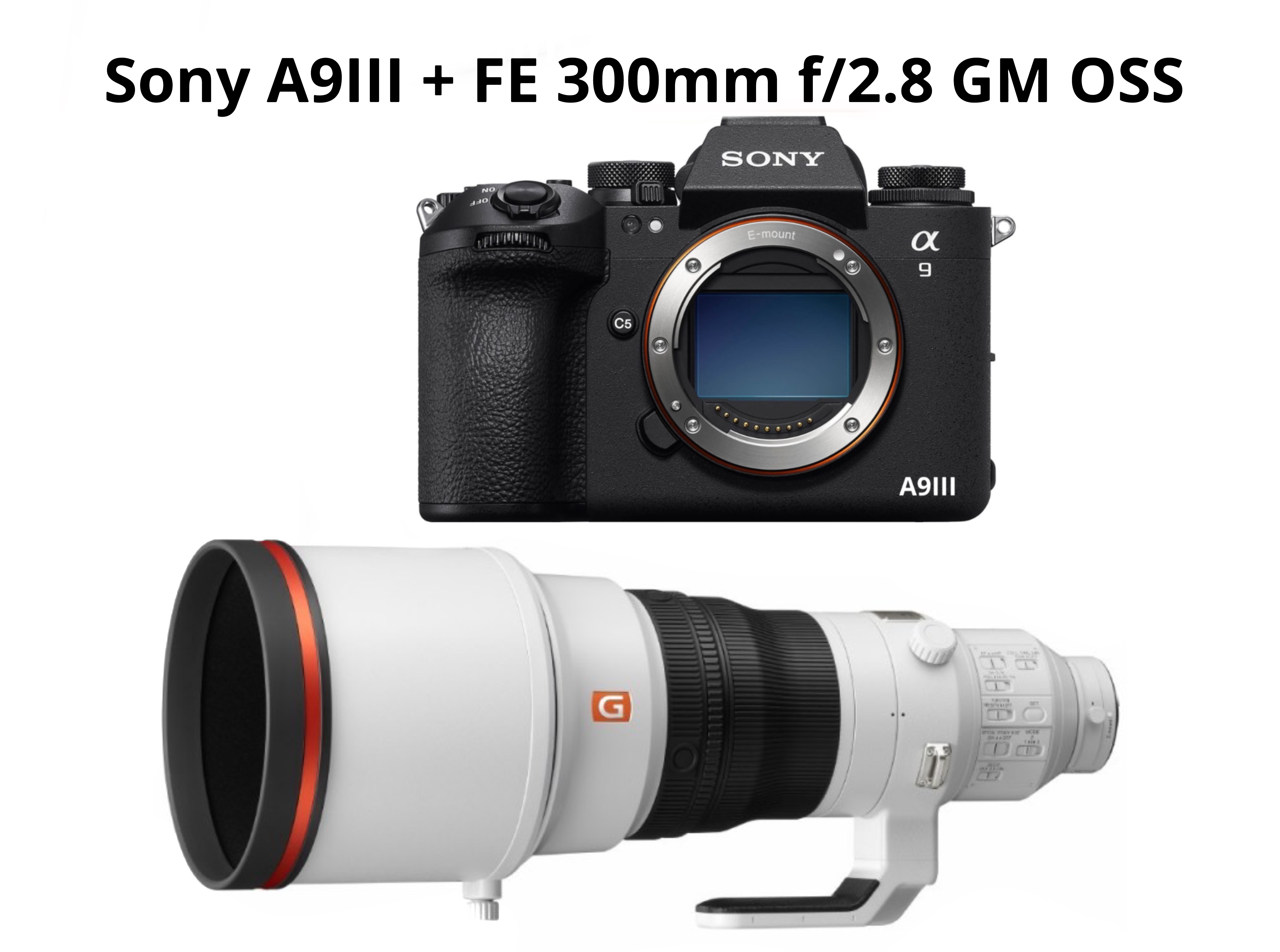 Sony a9iii + 300mm f2.8 gm / sony a9 iii + fe 300mm lens