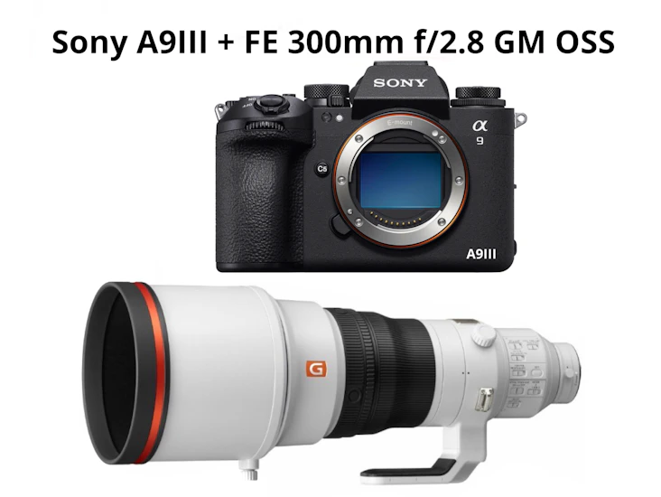 Sony a9iii + 300mm f2.8 gm / sony a9 iii + fe 300mm lens