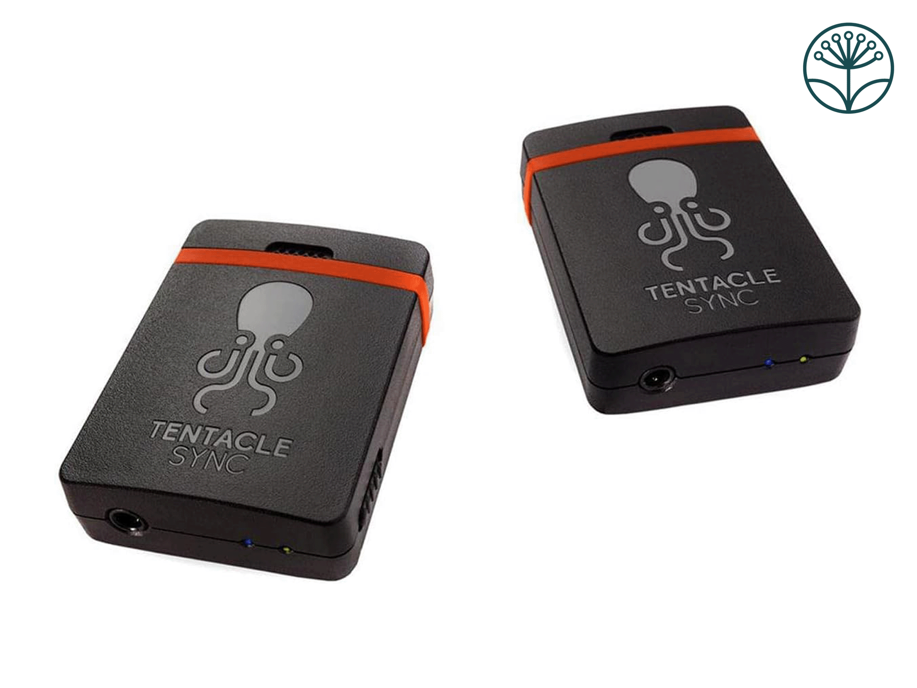 Tentacle sync e mkii 