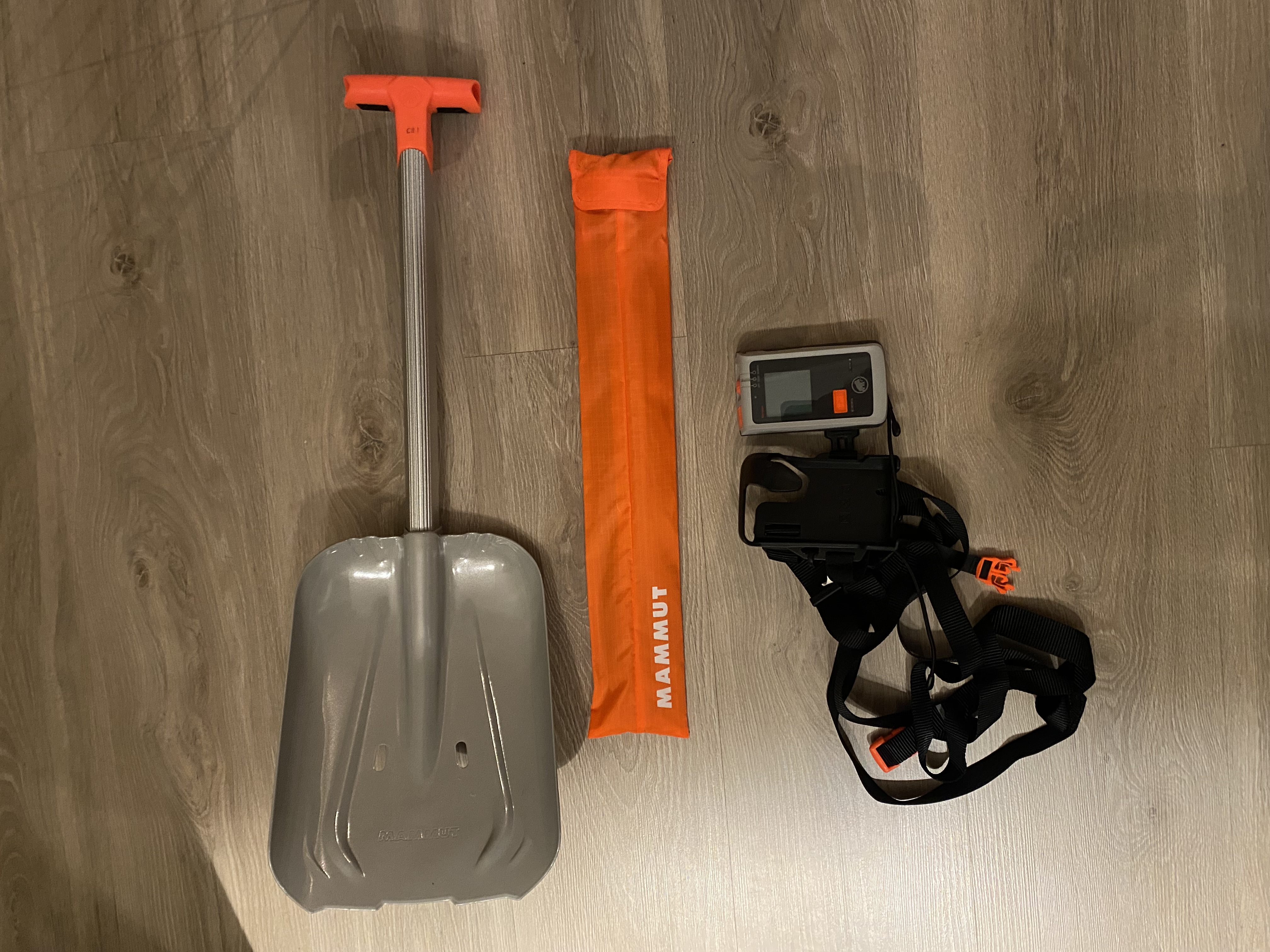 Mammut skredsett