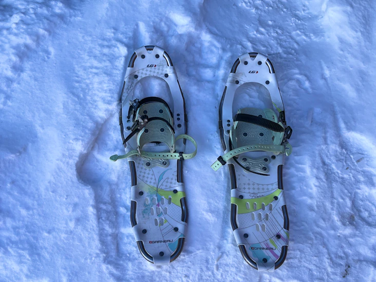 Snowshoes
