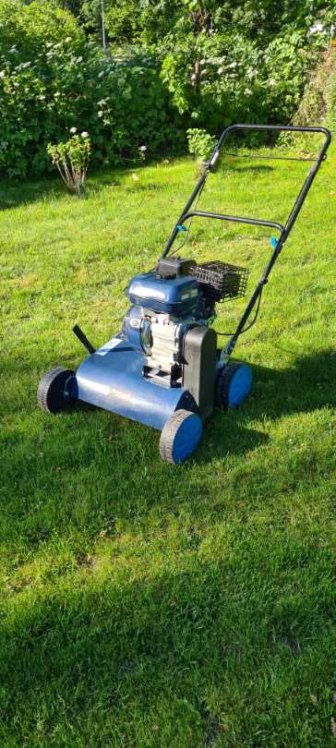 Vertikalskärare! grönare gräs än grannen??