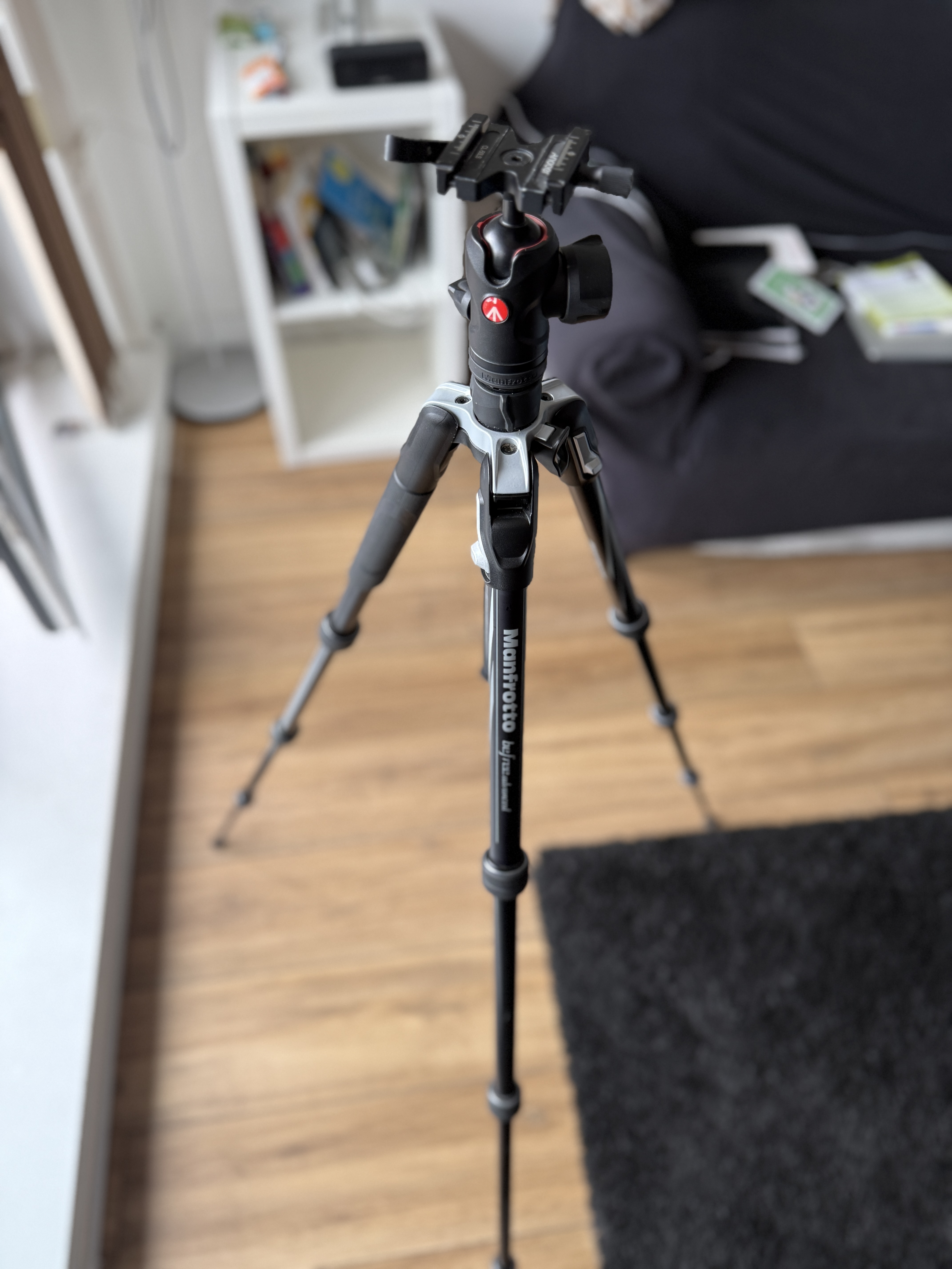 Manfrotto befree camera tripod kit arcaswiss
