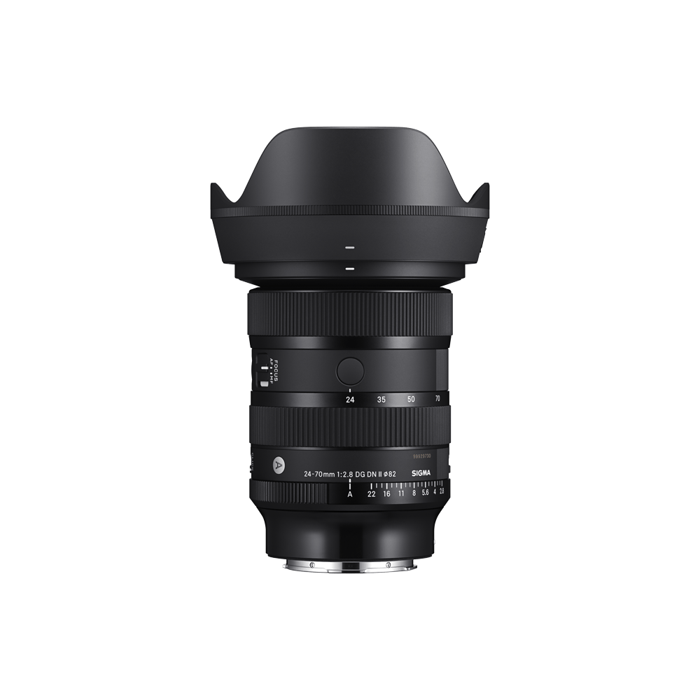 24–70mm f2.8 dg dn ii (e-mount)